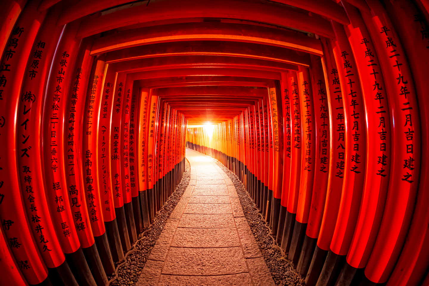 Torii gates in Fushimi Inari Shrine, Kyoto, Japan